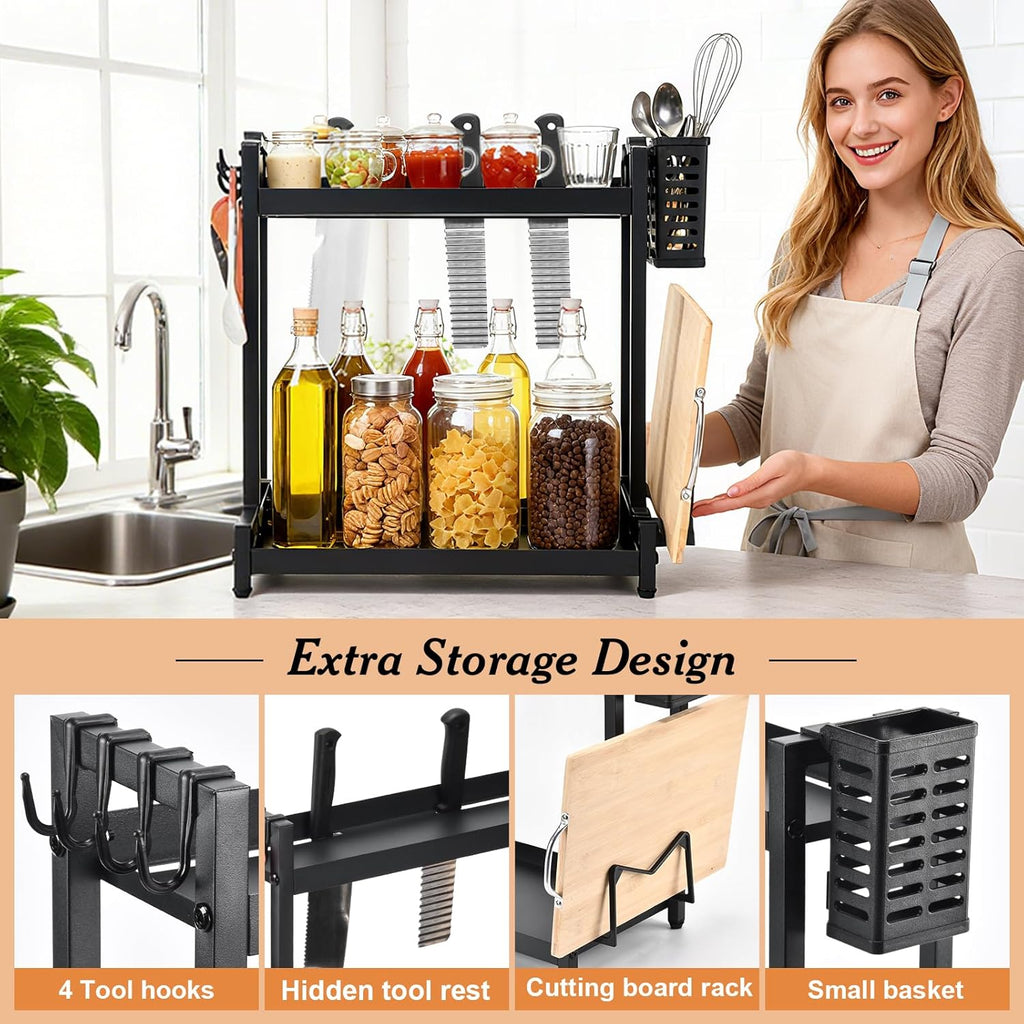 Countertop Spice Rack Organizer 2-Tier Seasoning Organizer